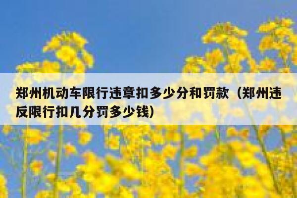 郑州机动车限行违章扣多少分和罚款（郑州违反限行扣几分罚多少钱） 第1张