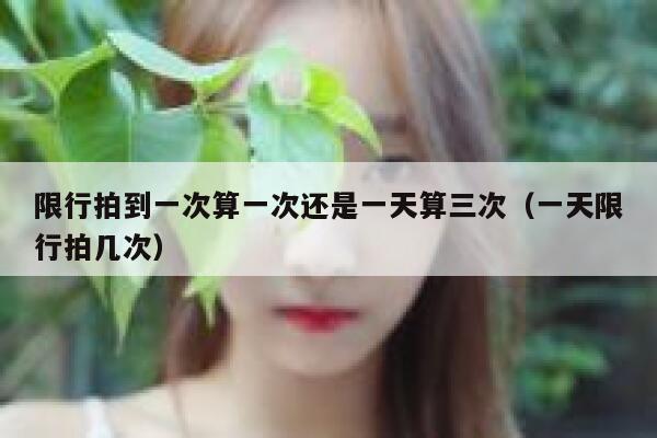 限行拍到一次算一次还是一天算三次（一天限行拍几次） 第1张