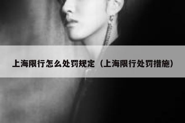 上海限行怎么处罚规定（上海限行处罚措施） 第1张