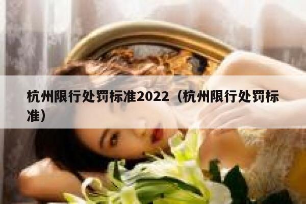 杭州限行处罚标准2022（杭州限行处罚标准） 第1张