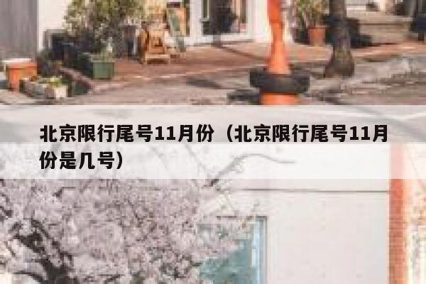 北京限行尾号11月份（北京限行尾号11月份是几号） 第1张