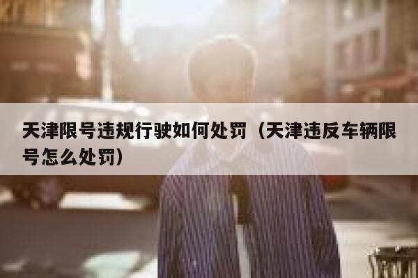 天津限号违规行驶如何处罚（天津违反车辆限号怎么处罚） 第1张
