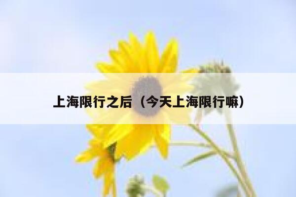 上海限行之后（今天上海限行嘛） 第1张