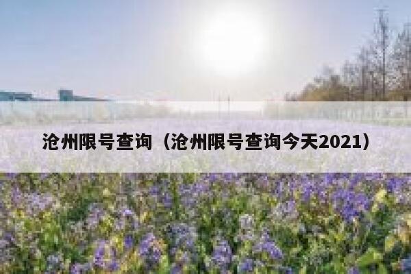 沧州限号查询（沧州限号查询今天2021） 第1张