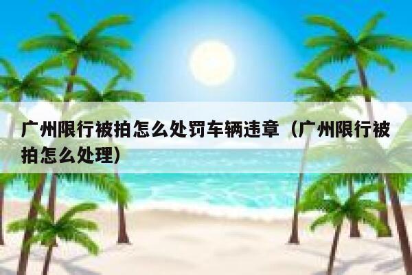 广州限行被拍怎么处罚车辆违章（广州限行被拍怎么处理） 第1张
