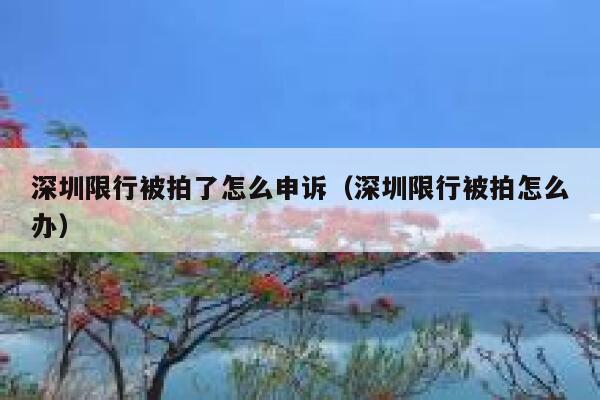 深圳限行被拍了怎么申诉（深圳限行被拍怎么办） 第1张