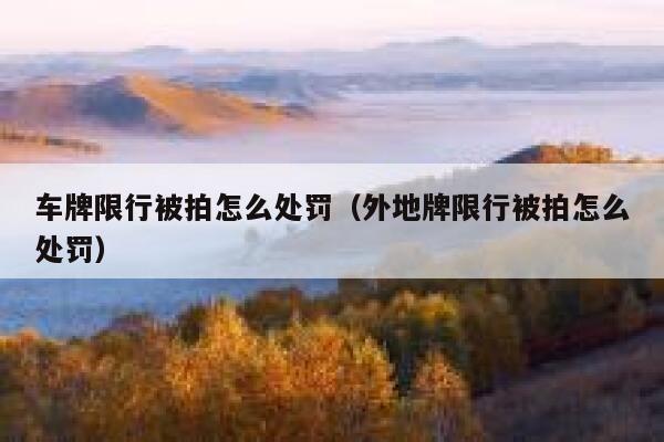 车牌限行被拍怎么处罚（外地牌限行被拍怎么处罚） 第1张