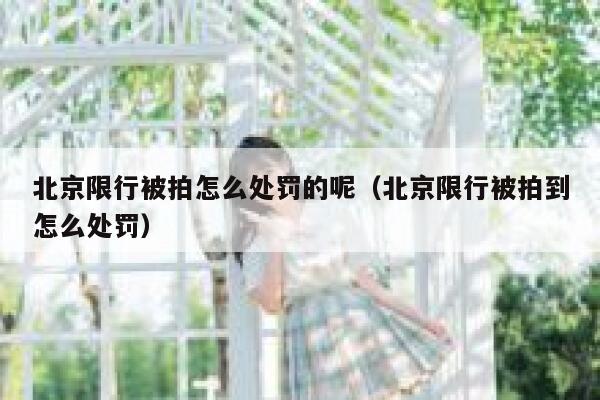 北京限行被拍怎么处罚的呢（北京限行被拍到怎么处罚） 第1张