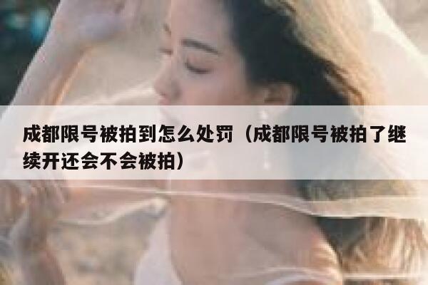 成都限号被拍到怎么处罚（成都限号被拍了继续开还会不会被拍） 第1张