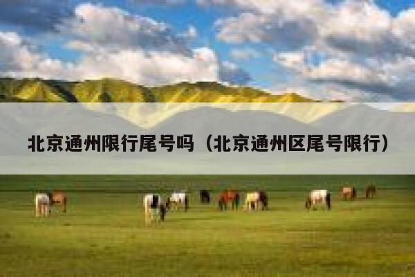 北京通州限行尾号吗（北京通州区尾号限行） 第1张