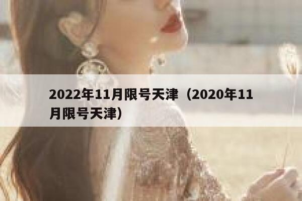 2022年11月限号天津（2020年11月限号天津） 第1张
