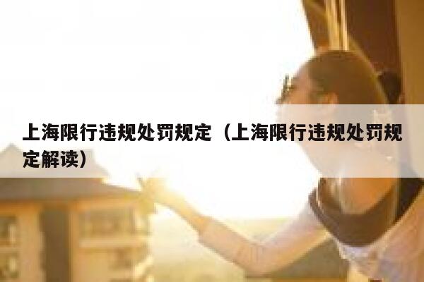 上海限行违规处罚规定（上海限行违规处罚规定解读） 第1张