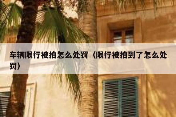 车辆限行被拍怎么处罚（限行被拍到了怎么处罚） 第1张