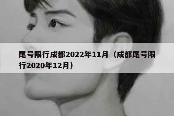 尾号限行成都2022年11月（成都尾号限行2020年12月） 第1张