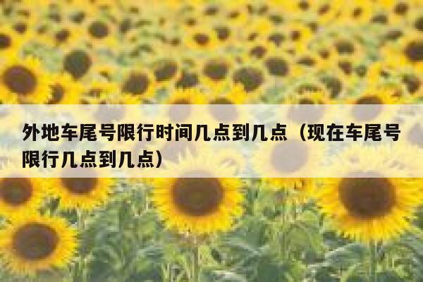 外地车尾号限行时间几点到几点（现在车尾号限行几点到几点） 第1张