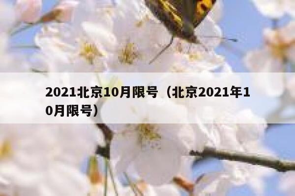 2021北京10月限号（北京2021年10月限号） 第1张