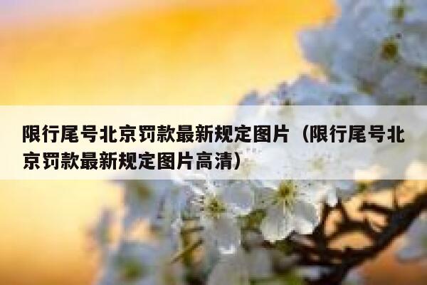 限行尾号北京罚款最新规定图片（限行尾号北京罚款最新规定图片高清） 第1张