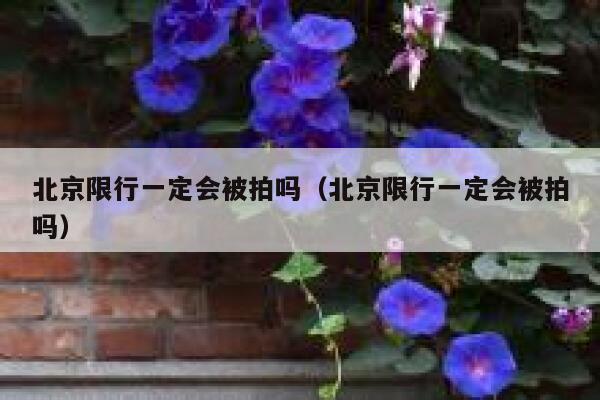 北京限行一定会被拍吗（北京限行一定会被拍吗） 第1张