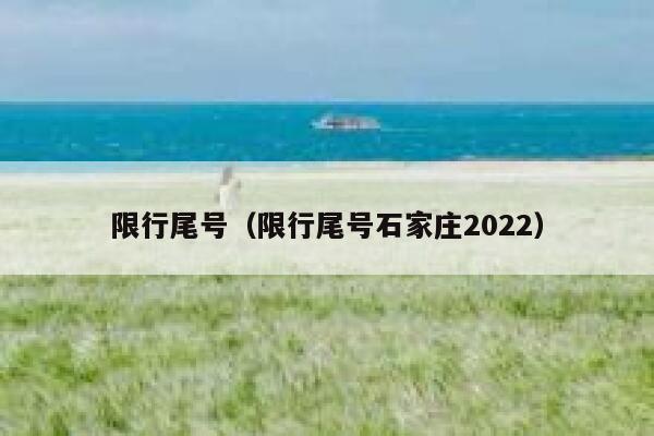 限行尾号（限行尾号石家庄2022） 第1张