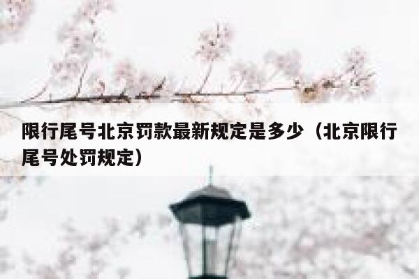 限行尾号北京罚款最新规定是多少（北京限行尾号处罚规定） 第1张