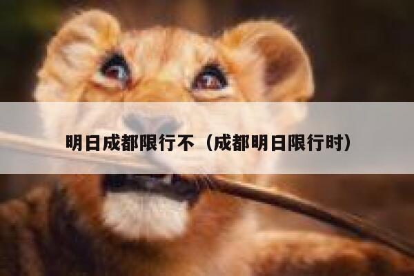 明日成都限行不（成都明日限行时） 第1张