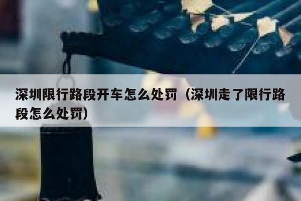 深圳限行路段开车怎么处罚（深圳走了限行路段怎么处罚） 第1张