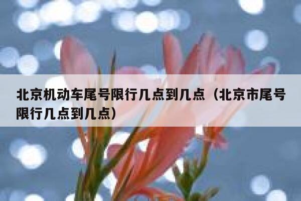 北京机动车尾号限行几点到几点（北京市尾号限行几点到几点） 第1张