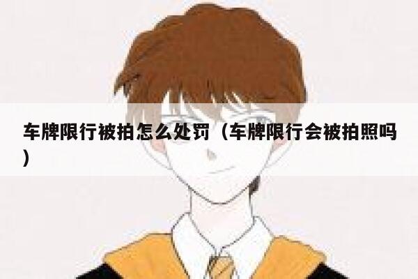 车牌限行被拍怎么处罚（车牌限行会被拍照吗） 第1张