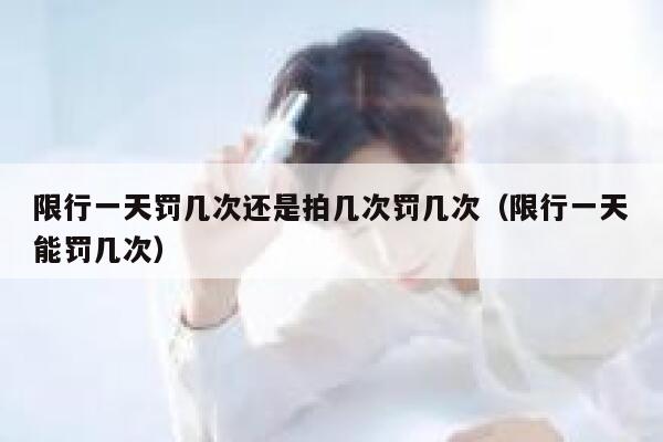 限行一天罚几次还是拍几次罚几次（限行一天能罚几次） 第1张