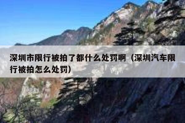 深圳市限行被拍了都什么处罚啊（深圳汽车限行被拍怎么处罚） 第1张