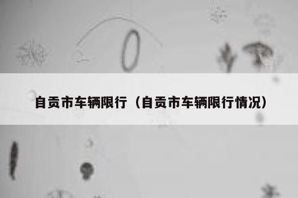 自贡市车辆限行（自贡市车辆限行情况） 第1张