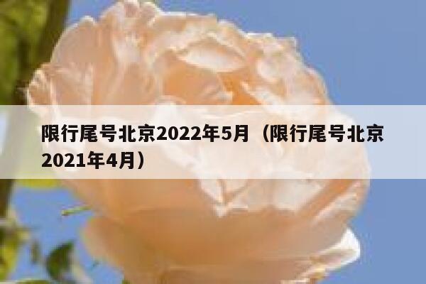 限行尾号北京2022年5月（限行尾号北京2021年4月） 第1张