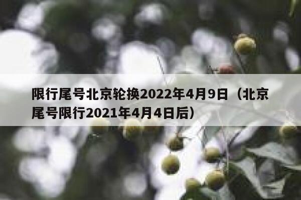限行尾号北京轮换2022年4月9日（北京尾号限行2021年4月4日后） 第1张