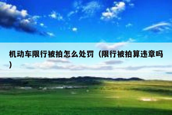 机动车限行被拍怎么处罚（限行被拍算违章吗） 第1张