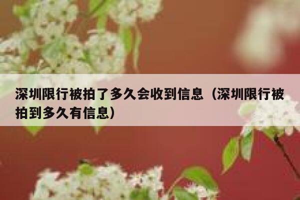 深圳限行被拍了多久会收到信息（深圳限行被拍到多久有信息） 第1张