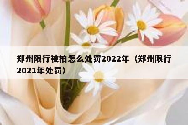 郑州限行被拍怎么处罚2022年（郑州限行2021年处罚） 第1张