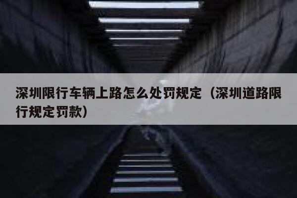 深圳限行车辆上路怎么处罚规定（深圳道路限行规定罚款） 第1张