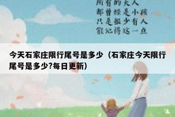 今天石家庄限行尾号是多少（石家庄今天限行尾号是多少?每日更新） 第1张