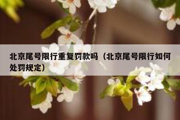 北京尾号限行重复罚款吗（北京尾号限行如何处罚规定） 第1张