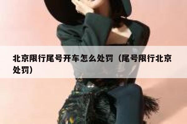 北京限行尾号开车怎么处罚（尾号限行北京 处罚） 第1张