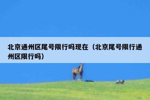 北京通州区尾号限行吗现在（北京尾号限行通州区限行吗） 第1张