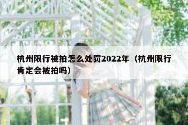 杭州限行被拍怎么处罚2022年（杭州限行肯定会被拍吗） 第1张