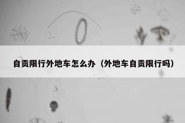 自贡限行外地车怎么办（外地车自贡限行吗） 第1张