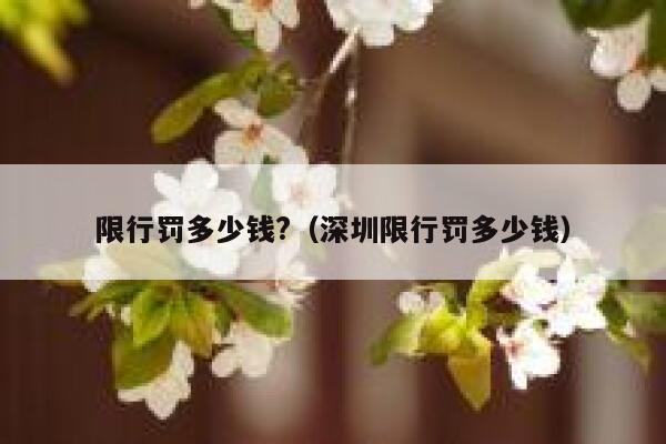 限行罚多少钱?（深圳限行罚多少钱） 第1张