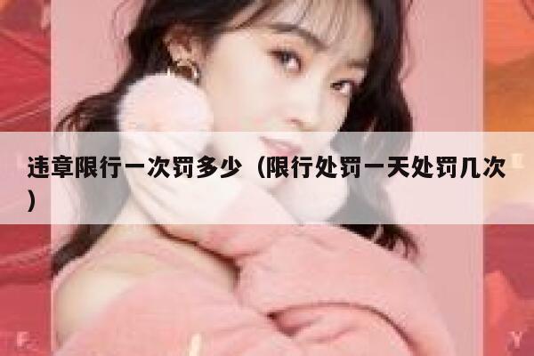 违章限行一次罚多少（限行处罚一天处罚几次） 第1张