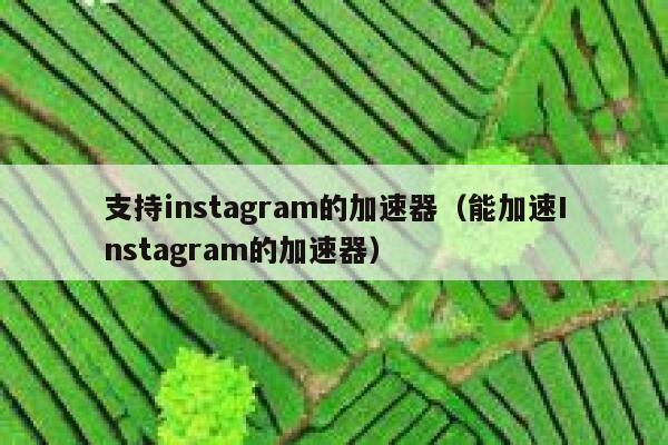 支持instagram的加速器(能加速Instagram的加速器) 第1张 支持instagram的加速器(能加速Instagram的加速器) 第1张