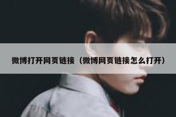 微博打开网页链接（微博网页链接怎么打开） 第1张