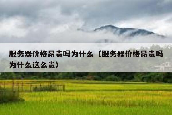服务器价格昂贵吗为什么（服务器价格昂贵吗为什么这么贵） 第1张