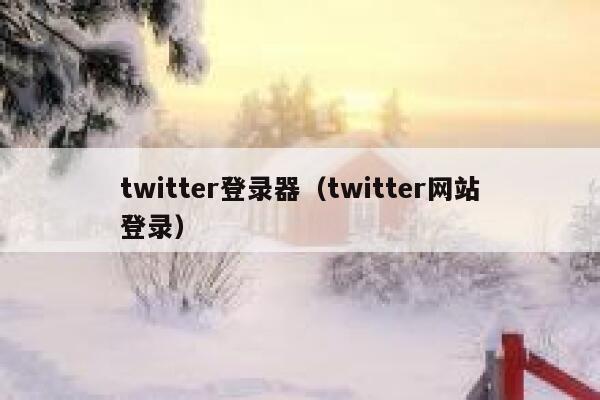 twitter登录器（twitter网站登录） 第1张