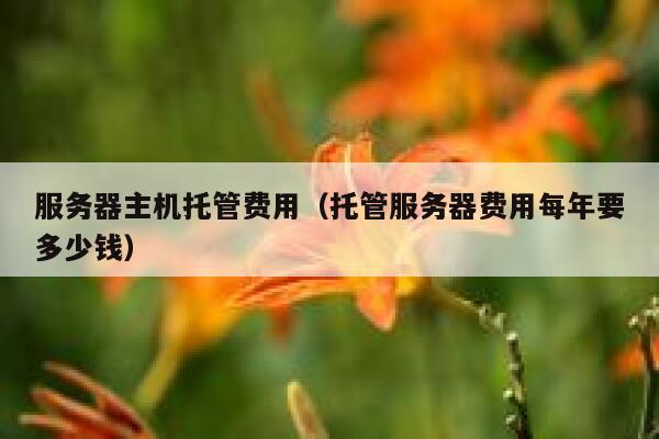 服务器主机托管费用（托管服务器费用每年要多少钱） 第1张